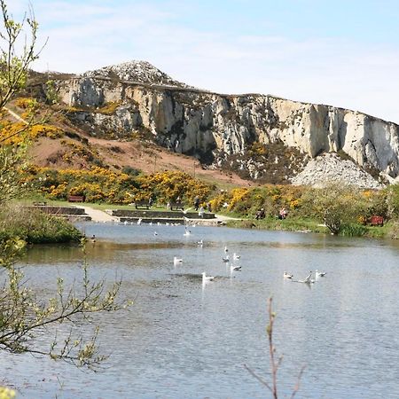 Swn Y Nant Villa Holyhead Buitenkant foto