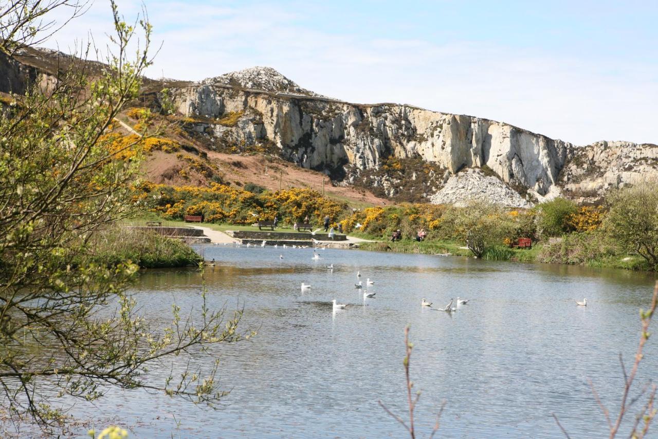Swn Y Nant Villa Holyhead Buitenkant foto